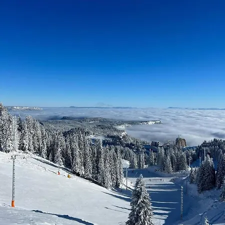 Pahulja 402 - Zlatni Javor *