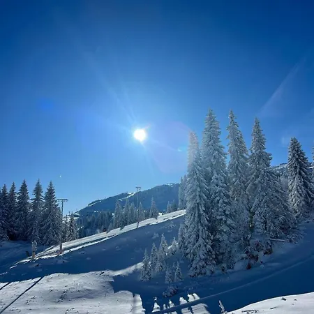 Pahulja 402 - Zlatni Javor Apartman Jahorina