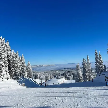 Apartman Pahulja 402 - Zlatni Javor