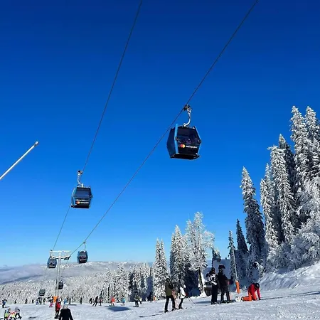 Pahulja 402 - Zlatni Javor Apartman