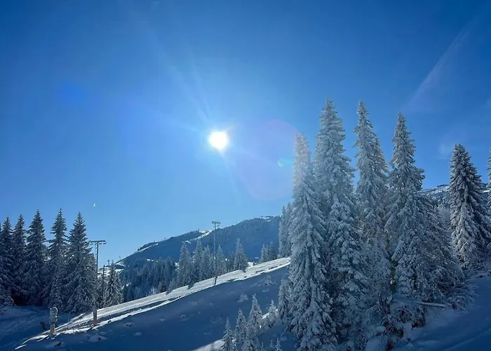 Pahulja 402 - Zlatni Javor Apartment Jahorina