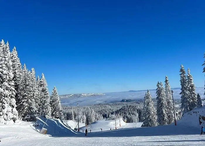 Apartman Pahulja 402 - Zlatni Javor