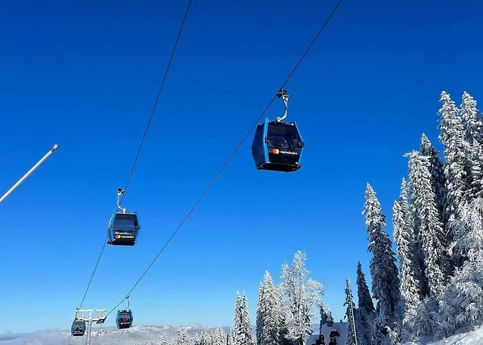 Pahulja 402 - Zlatni Javor Apartment